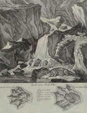 JOHANN ELIAS RIDINGER - Spuhr