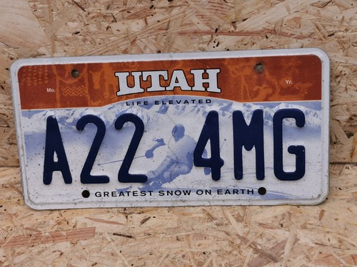 Nummernschild usa utah - -,