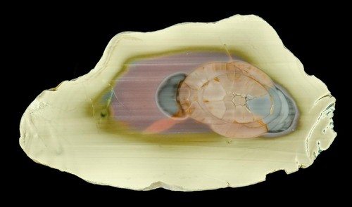 Royal imperial jasper - imperial, /