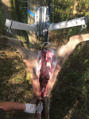Wildgalgen baumhalter - wildgalgen,,