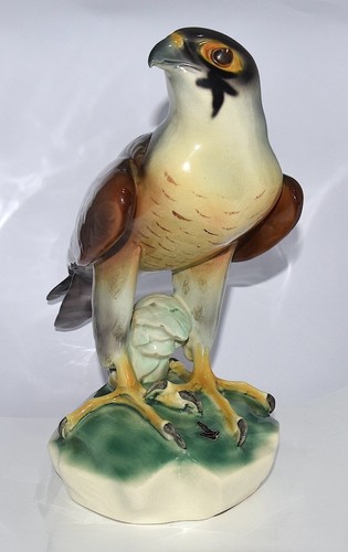 Cortendorf großer falke auf - cortendorf,
