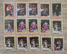 WWF Wrestling Sammelkarten 26  Stück in Sleeves Merlin 1995 WWE