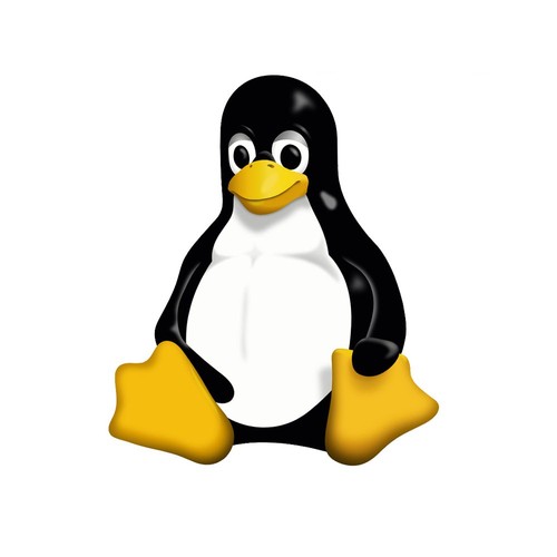 Linux smoking pinguin - linux,