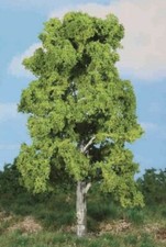 Heki 1986 Laubbaum Baum 1