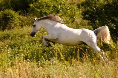 Reinige wasche und - #,