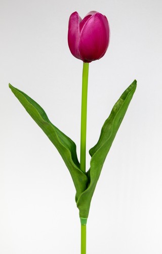 Künstliche tulpe real - tulpe,