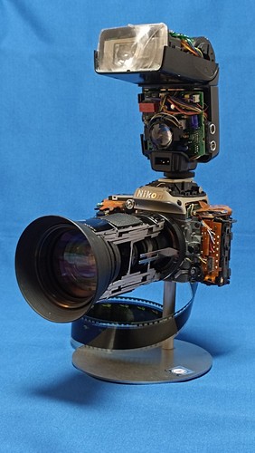 Cutaway model wunderwelt - model, der