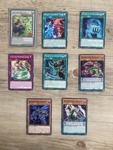 Yugioh ahornmädchen deluxe - ahornmädchen,