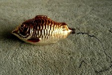 sehr alter Christbaumschmuck