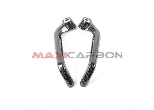 Carbon paraleve bmw 1000 - paraleve, rr