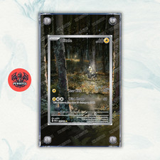 Pokémon Magnetisches Teak