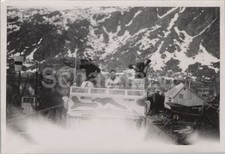 Foto Schnellboot-Division