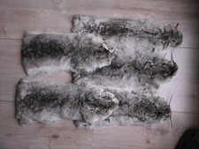 Ein Chinchillafell  Chinchilla ECHT ( kein Kaninchen)