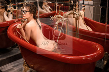 Nr. 254 - Erotisches Pin Up