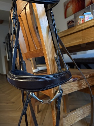 Wunderschöne trense warmblut - wunderschöne,