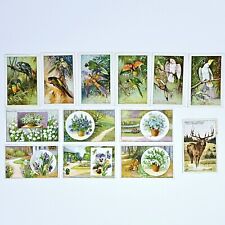 13x Hoyer Margarine Sammelbilder PAPAGEIEN BLUMEN PAARHUFER Wapiti Hirsch