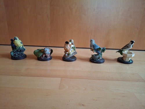 Unsere schöne vogelwelt - unsere,