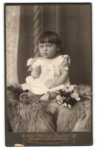 Fotografie bruno wendsche - fotografie,