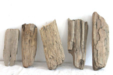 Schwemmholz treibholz - schwemmholz,