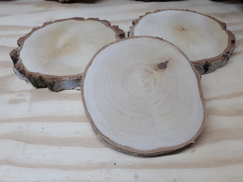 Birke trockene holzscheibe - 3,