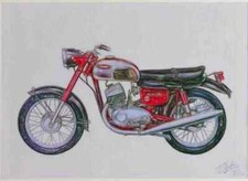 A4 Blechschild Limited Edition