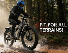 2000VV Elektrofahrrad