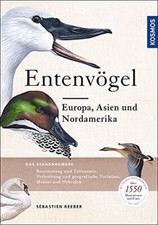Entenvögel: Europa, Asien und