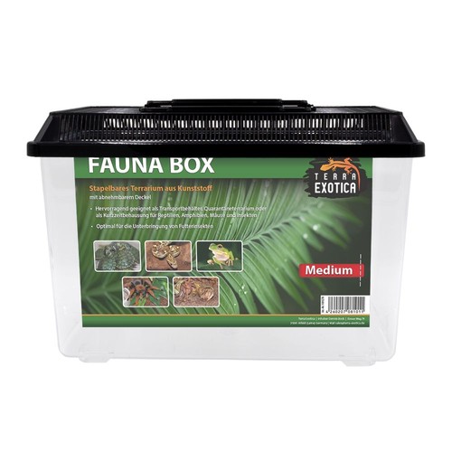 Fauna box medium - fauna, terrarium