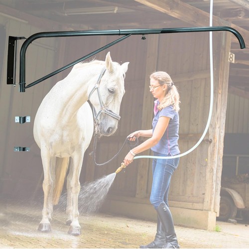Swinging arm horse wash - arm,