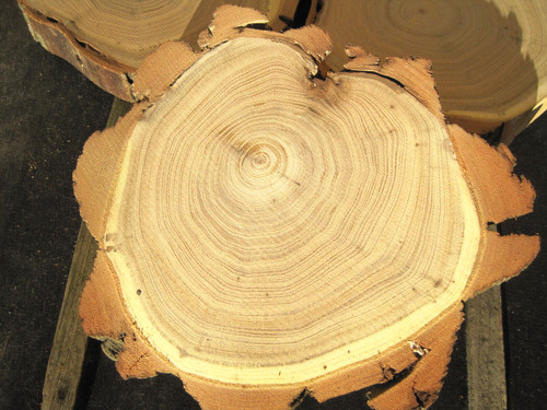 Holzscheiben akazie - 3,