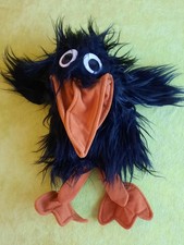 Schwarzer Rabe - große