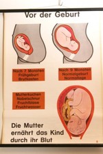 Schulwandkarte Rollkarte