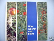 Sammelbilderalbum Was wächst