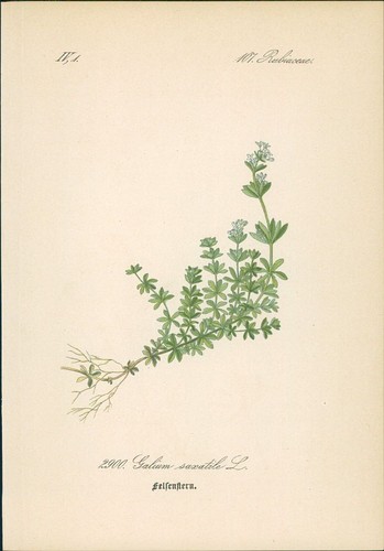 Chromolithographie - ,