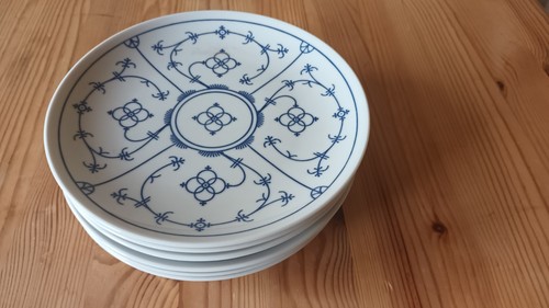Winterling indisch blau - winterling,