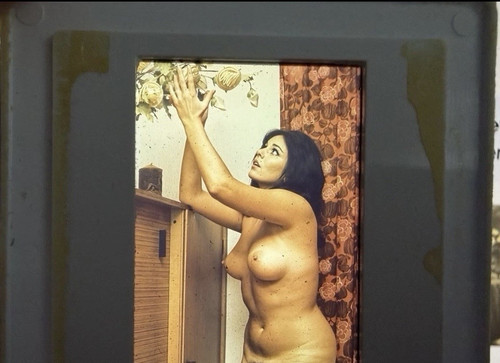 Vintage dia natur - natur, kunst