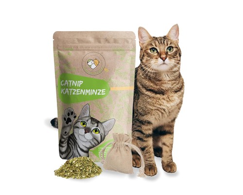 Echte katzenminze mit - echte,