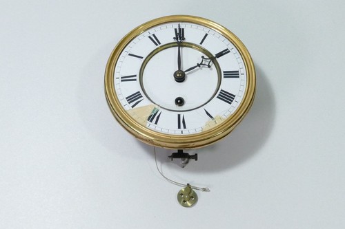 Seltenes kleines gustav - seltenes,