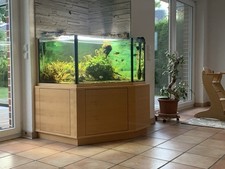 Aquarium Komplett mit Besatz, Beleuchtung , großer Aussenfilter, CO2 Anlage.