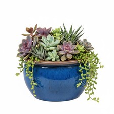 Blumentopf Pflanzgefäß Übertopf Keramik "Bavaria" 20cm Royal Blau frostfest