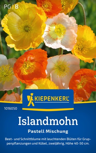 Islandmohn pastell - *,