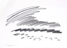 Zeichnung von Siegward Sprotte