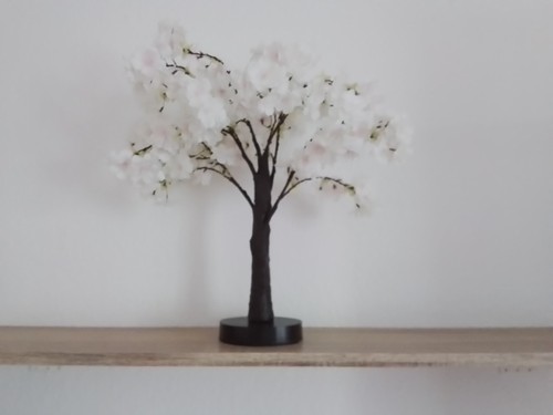 Elambia kirschblüte rosa - kirschblüte,