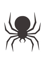 Autoaufkleber Sticker Spinne