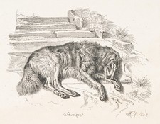 J. KLEIN (1792-1875)