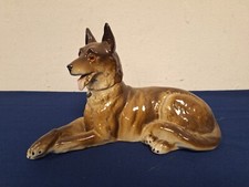 Alter Hund als Rauchverzehrer