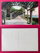 AK SCHWEDT an der Oder um 1910