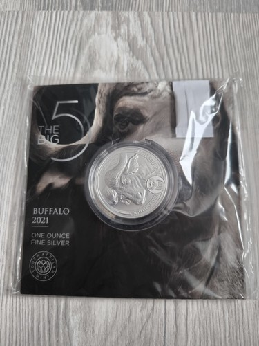Südafrika silber büffel - südafrika,