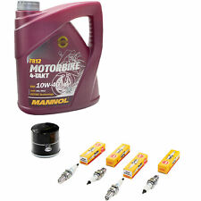 Öl Set Inspektion 4L