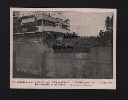 Bilddokument 1919 bildnis - bilddokument,